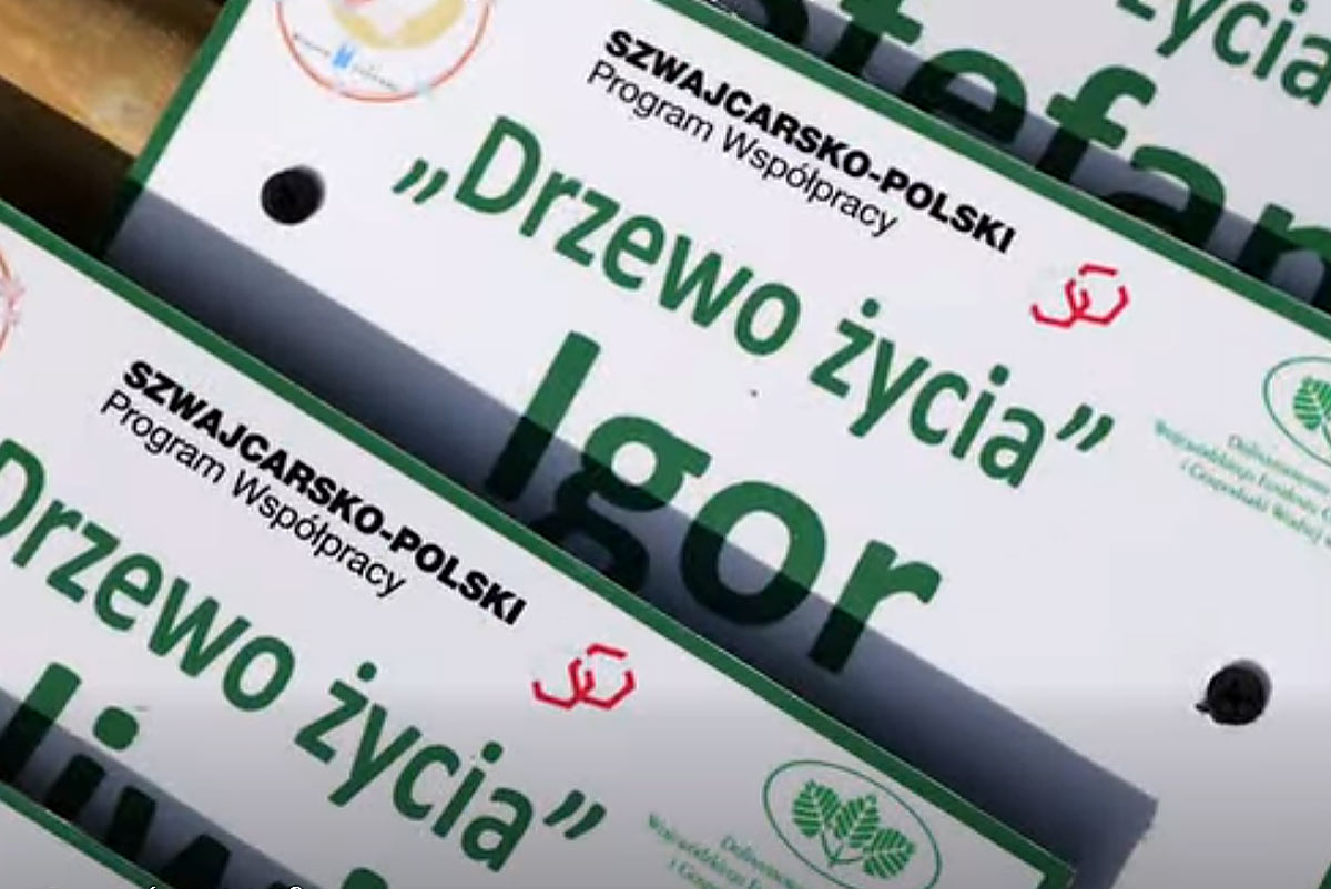 Imienne tabliczki z napisem "Drzewo życia".